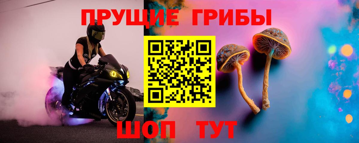 Галлюциногенные грибы GOLDEN TEACHER  сколько стоит  Видное  Вход с VPN 